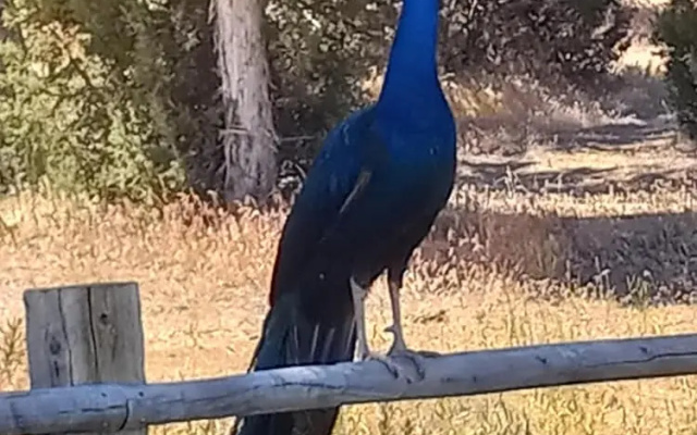 Wind Walker Ranch