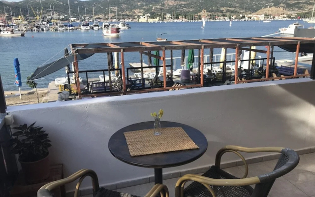 Vertigo Foca