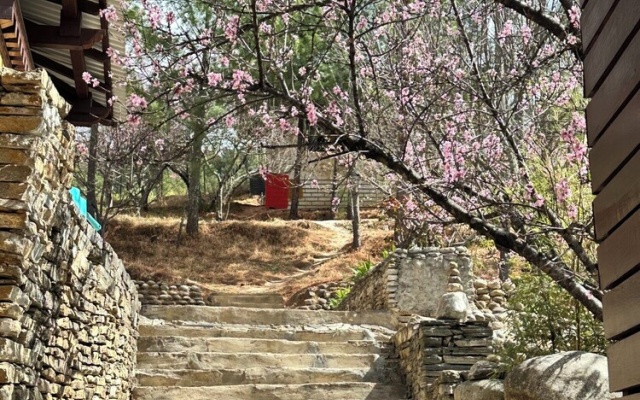 Haven Resort Paro