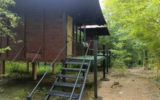 Wilderness camp Resort Pench