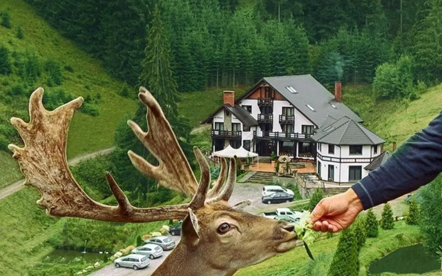 Pensiunea Poiana Izvoarelor