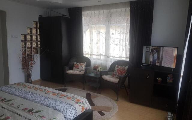 Apartament Teilor