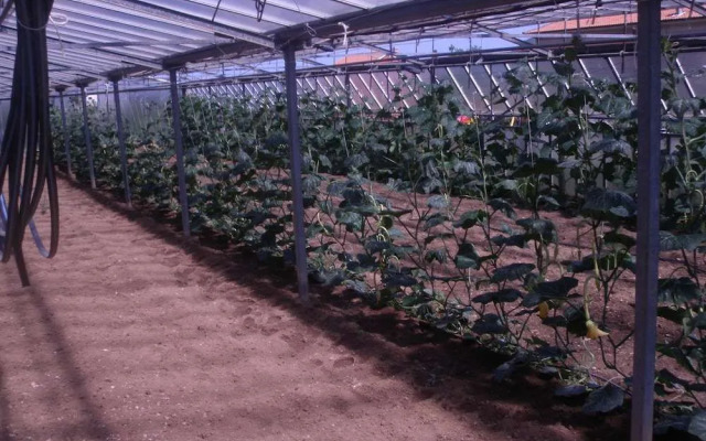 Agriturismo Le Collinette