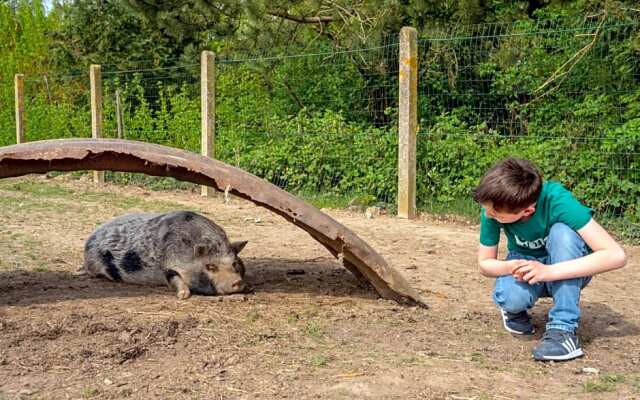 Yourte dans une ferme pédagogique