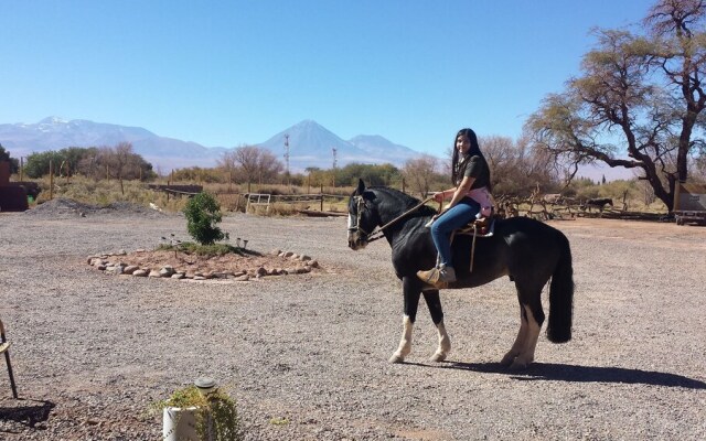 Lodge Las Rocas - Hostel