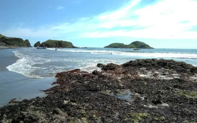 Island Backpackers