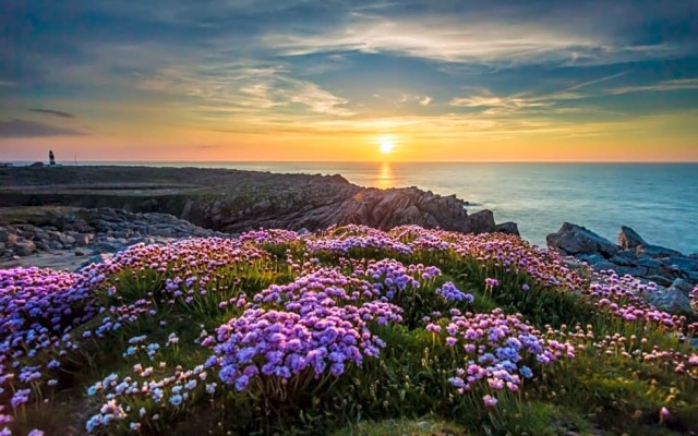 Ostán Oileán Thoraí Tory Island Hotel