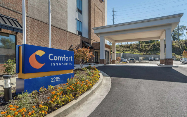 Comfort Inn & Suites Downtown near University