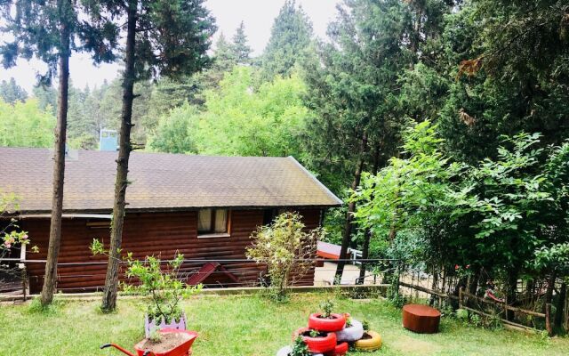 Agva Orman Evleri Forest Lodge