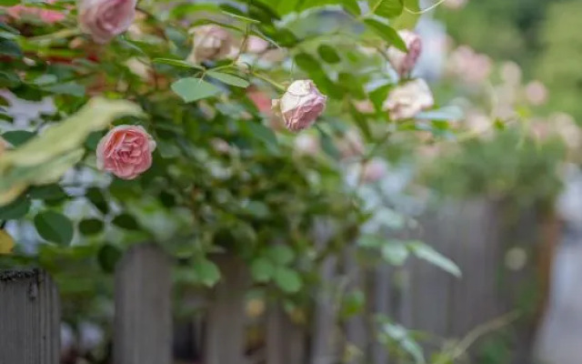 Xihu 78 Lagerstroemia boutique hotel