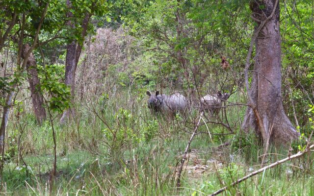 Safari Adventure Lodge