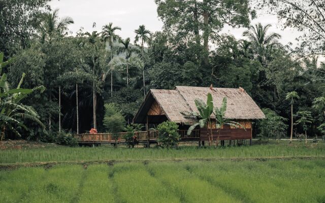 Our Jungle Camp - Eco Resort