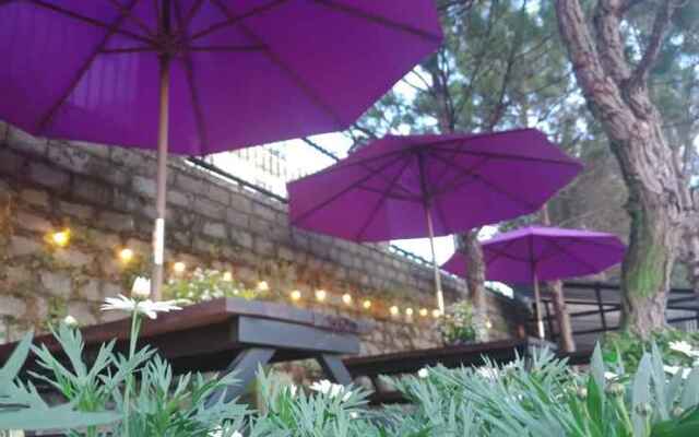 The Orchid Villa Dalat