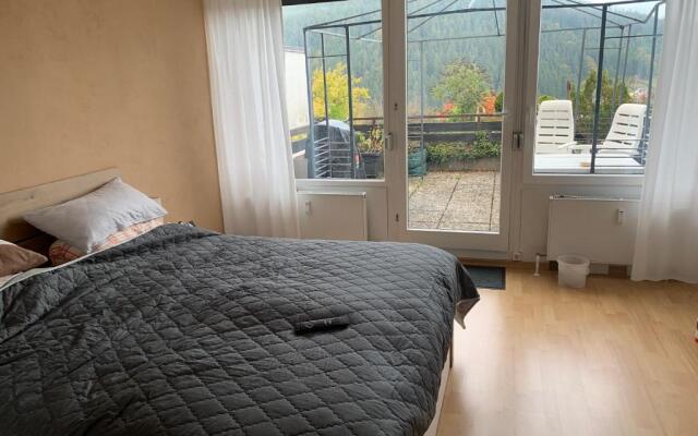 Appartement mit herrlicher Aussicht übers Murgtal