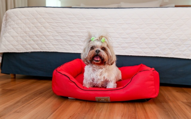 Transamerica Executive Sorocaba