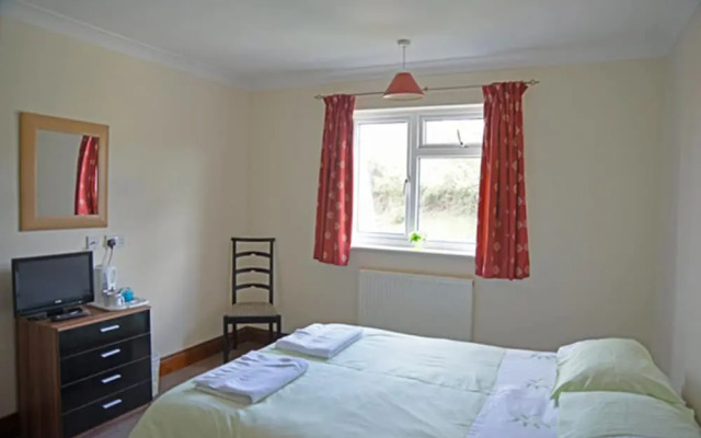 The Lion At Somerton