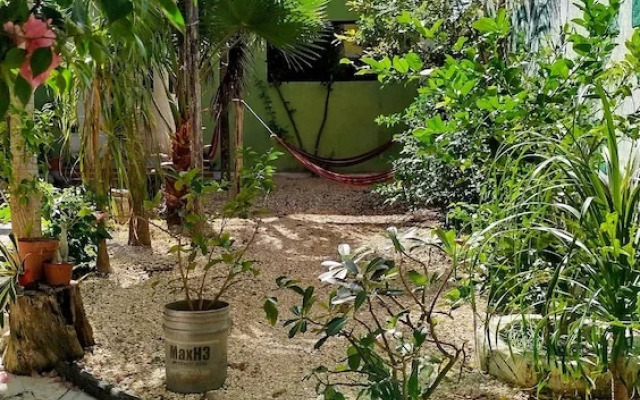 Casa Otilia - Hospedaje