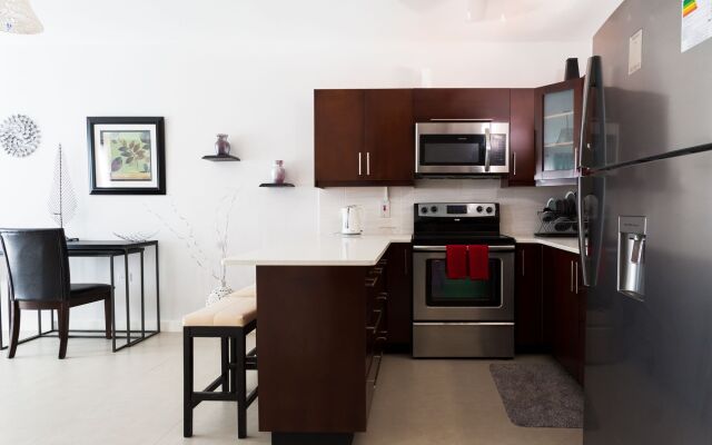 Kingston Luxury Guest Apt at Sullivan