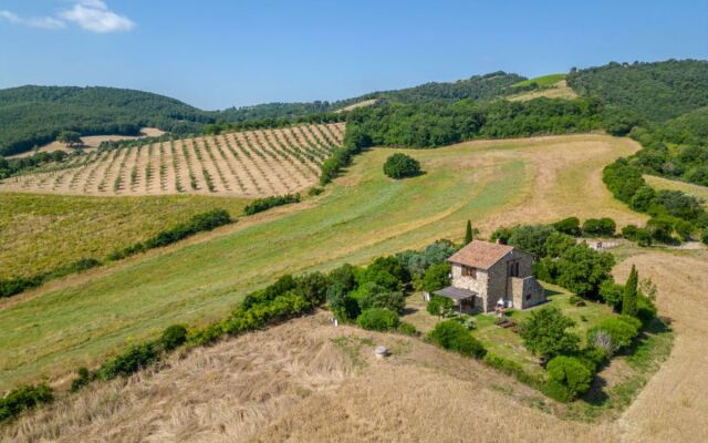 House Le Calle Cinigiano