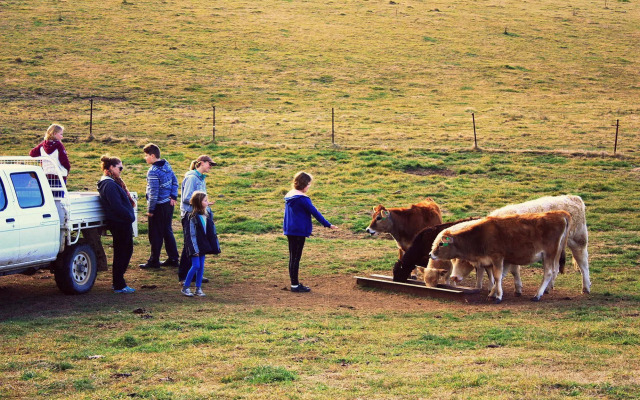 Waterfall Way Farmstay