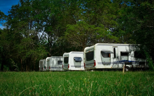 Big Game on Wheels - Wilpattu