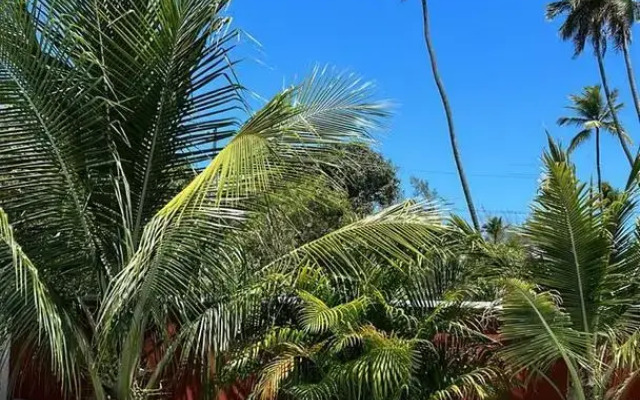 Pousada Recanto Pontal de Maracaípe