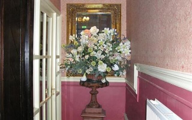 The Avenue Guest House