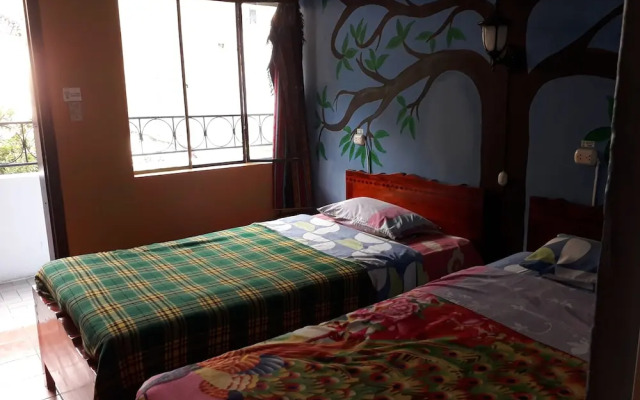 Hostal Transilvania