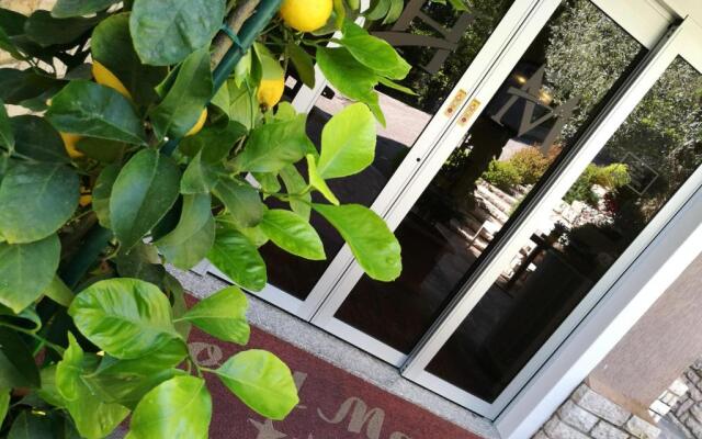 Residence Hotel Maxi