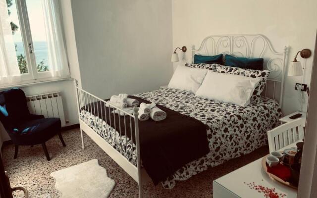 Corniglia Dreams