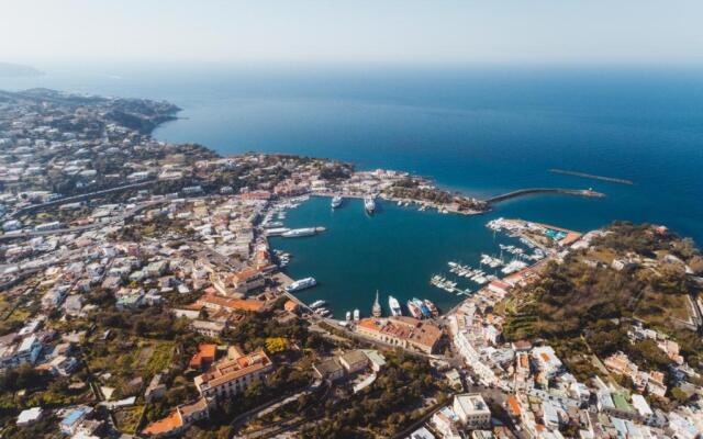 Verbena 19 Ischia