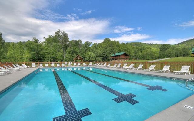 Bearly Makin It by Vtrips