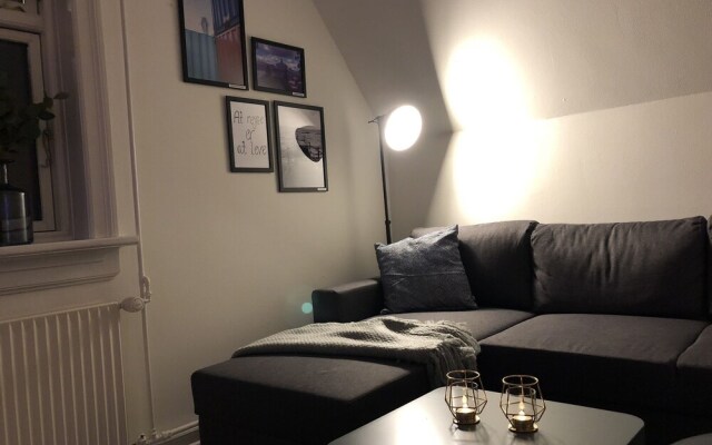 Cozy flat near CPH and public transport