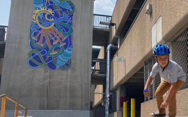 #010 Vail International