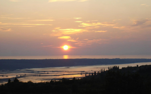 Apartma Medoši