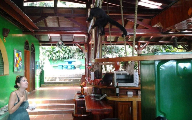 Jungle Villa