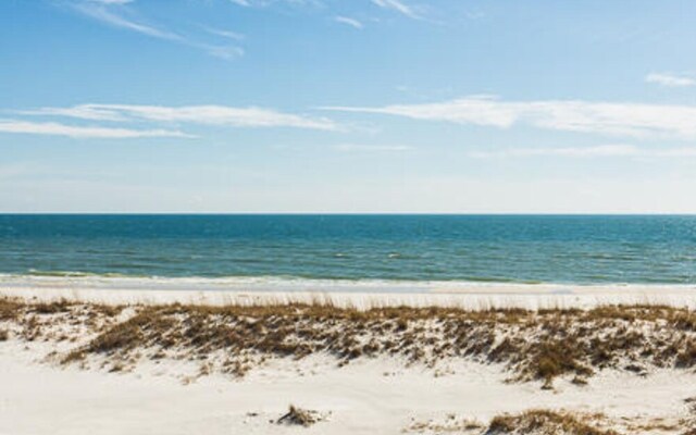 Summer Salt by Youngs Suncoast