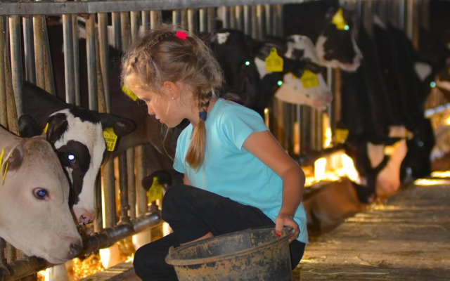 Kleine Auszeit Pellworm