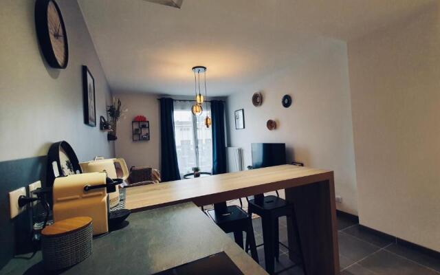 Le Continental Beau T2 plein centre + parking