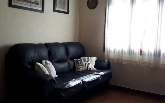 Bosque Peralta Ramos. Zorzales del Bosque