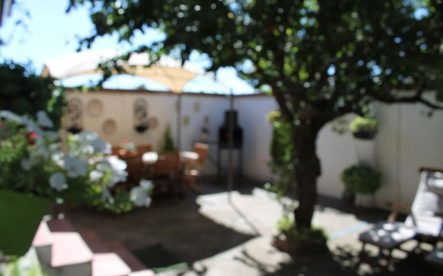La Olmedana