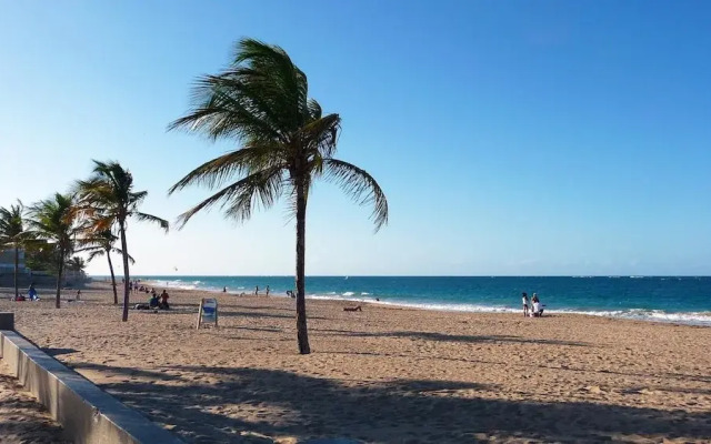 Serena Baja