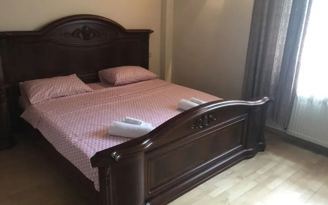 Rare house with garden in Tbilisi