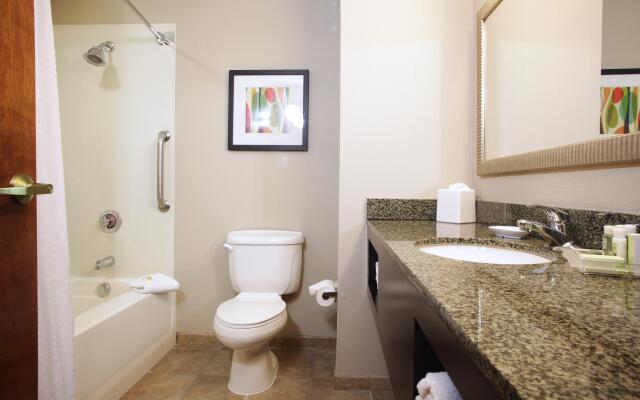 Holiday Inn Phoenix - Chandler, an IHG Hotel