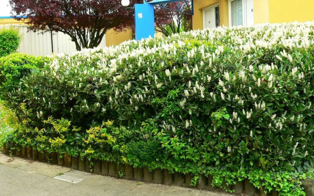 Fasthotel Maçon Nord