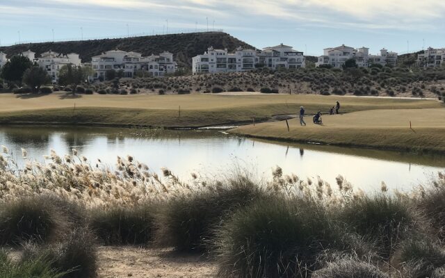 Hacienda Riquelme Apartments