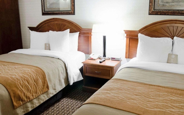 Spark by Hilton Toronto Markham
