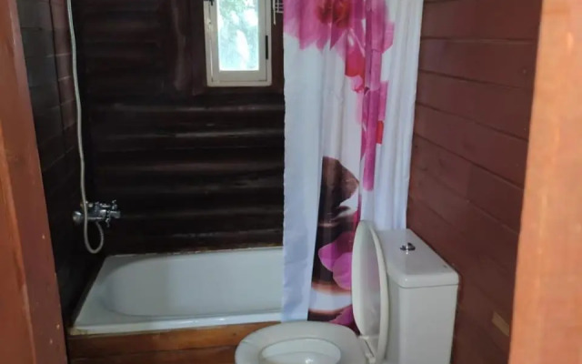 Cabaña de Troncos en la montaña