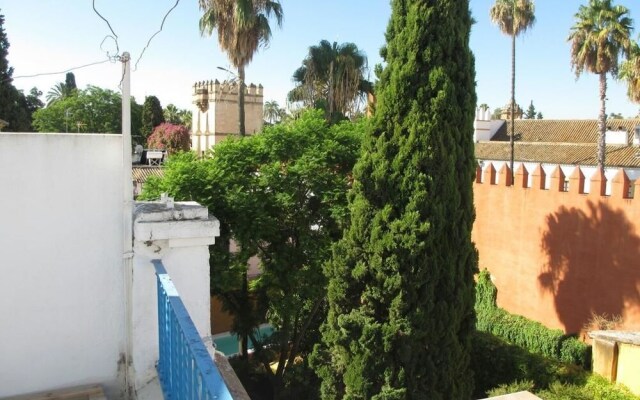 Deluxe Apartment Doña Elvira