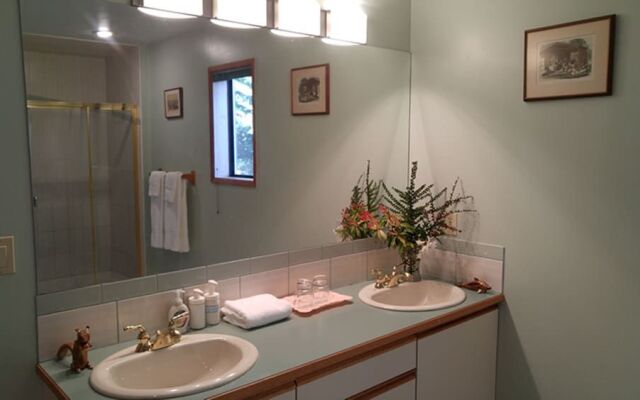 Sunshine Coast Treetop Wonderland